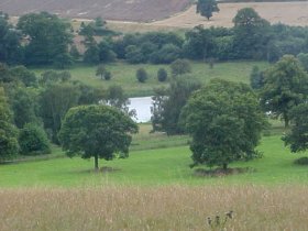 hardwick_park_row_pond.jpg (34711 bytes)