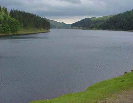 ladybowergreatview.jpg (23481 bytes)