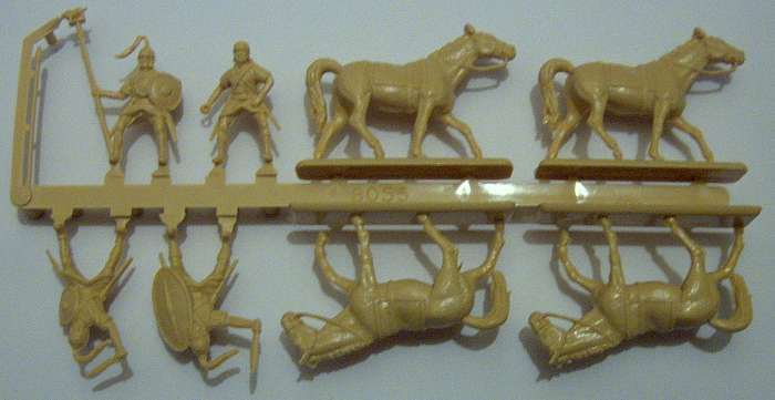 Stephen's Spanish Cav Sprue, courtesy of his new digital camera