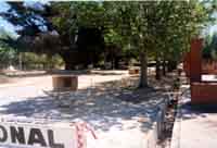 VISTA DE M�S CERCA, LA PEATONAL FRENTE AL BANCO