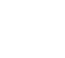TORCHA SHED!