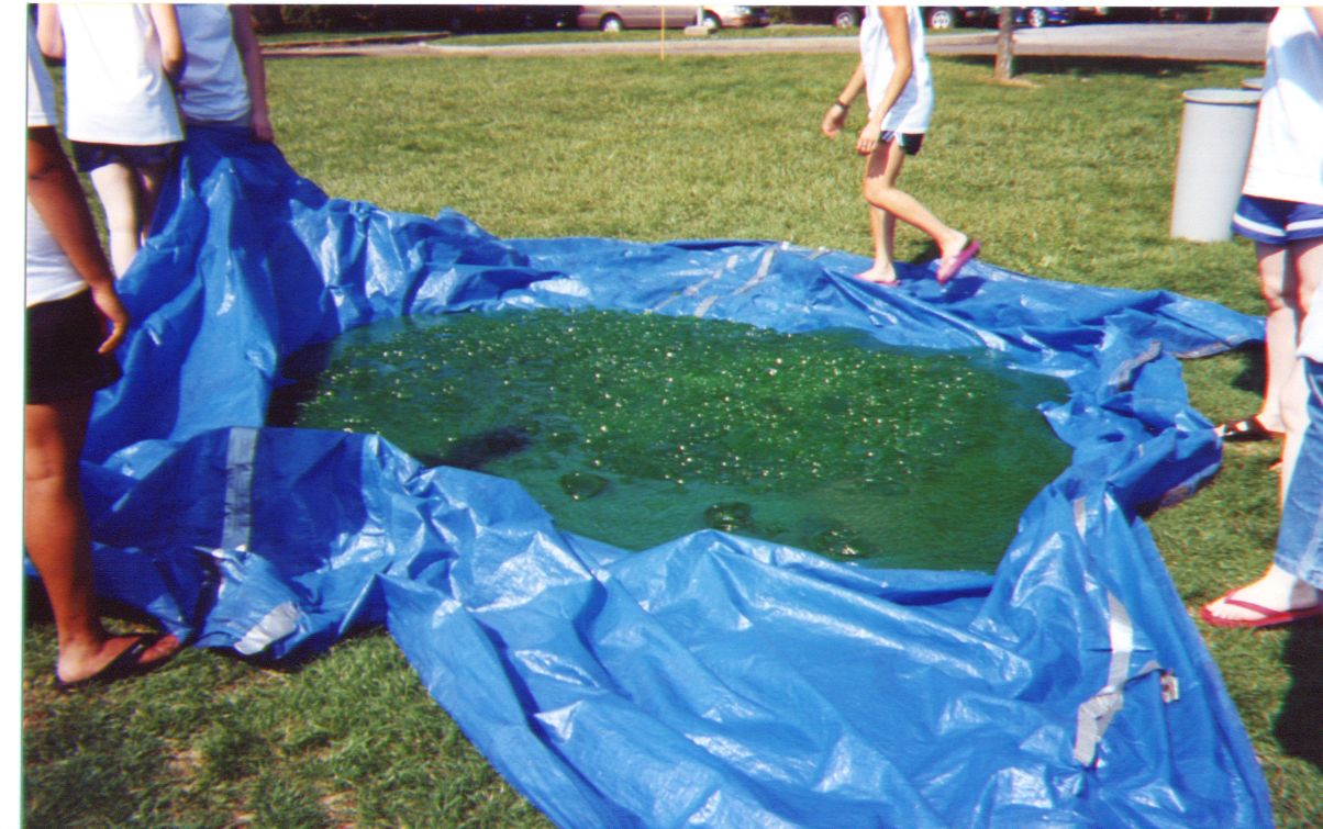 Delta Zeta at Ohio Wesleyan University