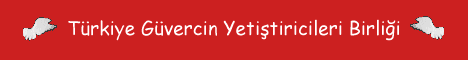 Turkish Pigeon Breeders Union