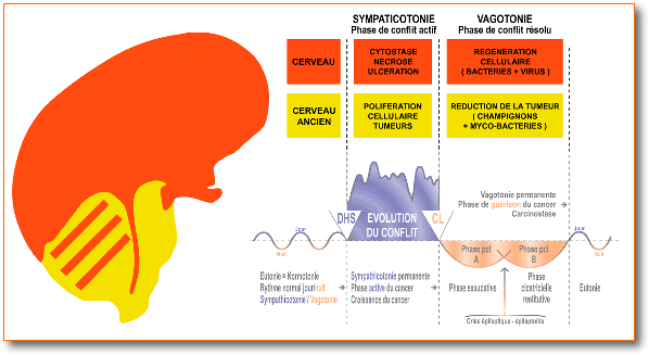 Correlations Correlaciones.
