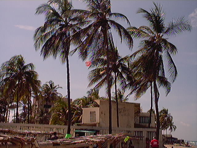 Costa de Venezuela, Estado Falcon.