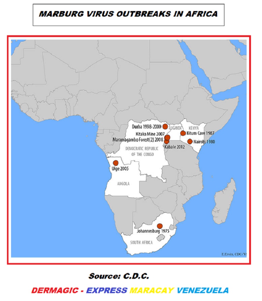 Brotes de Virus Marburg en África después del Primer Brote en Europa