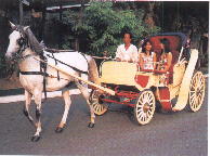 Karitela: A traditional Filipino mode of transport, made mobile by a horse which pulls the cart. It is a part of the unique colorful Filipino culture.