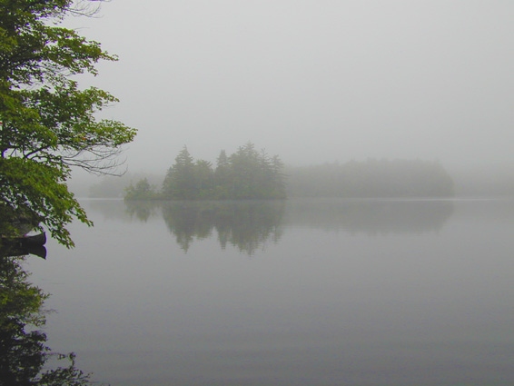 Looking across a lake on a foggy morning with an island shoreline reflexed in the still water