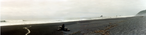 A beach in the Redwood National Park with the waves crashing and the offshore fog.