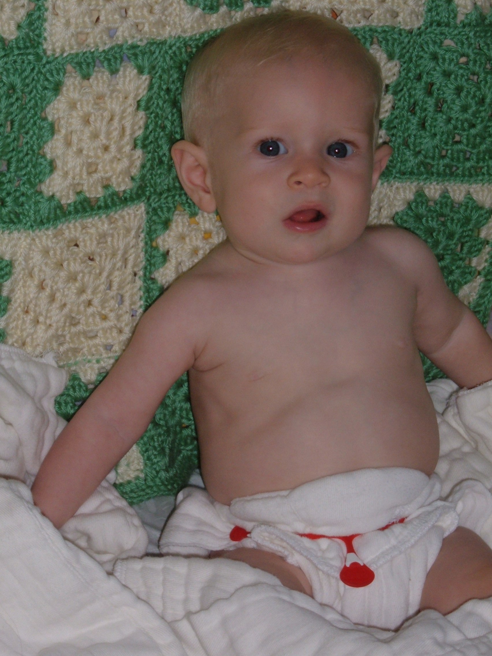 Brian Lewis' Diaper Duty Cloth Diaper Service