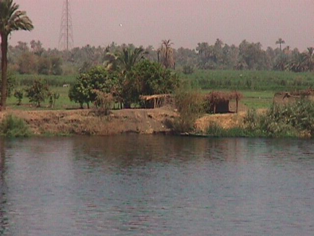 Nile bank, in upper Egypt
