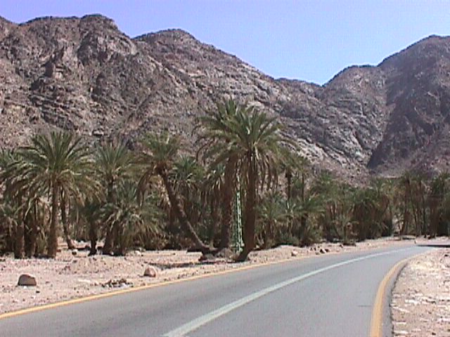Feirai Oasis in the Sinai