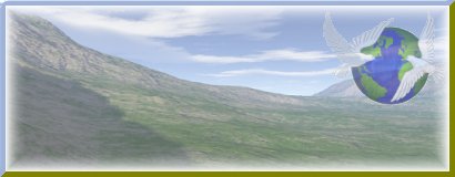 Banner No. 13