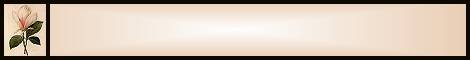 Banner No. 4