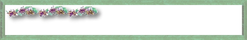 Banner No. 11