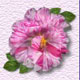 Click to view