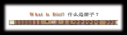 what is dizi