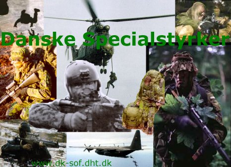 Danske special operations styrker, patruljer og fjernopklaringsenheder