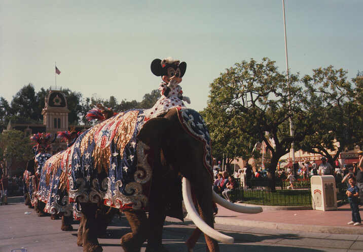 Minnie on Elephant