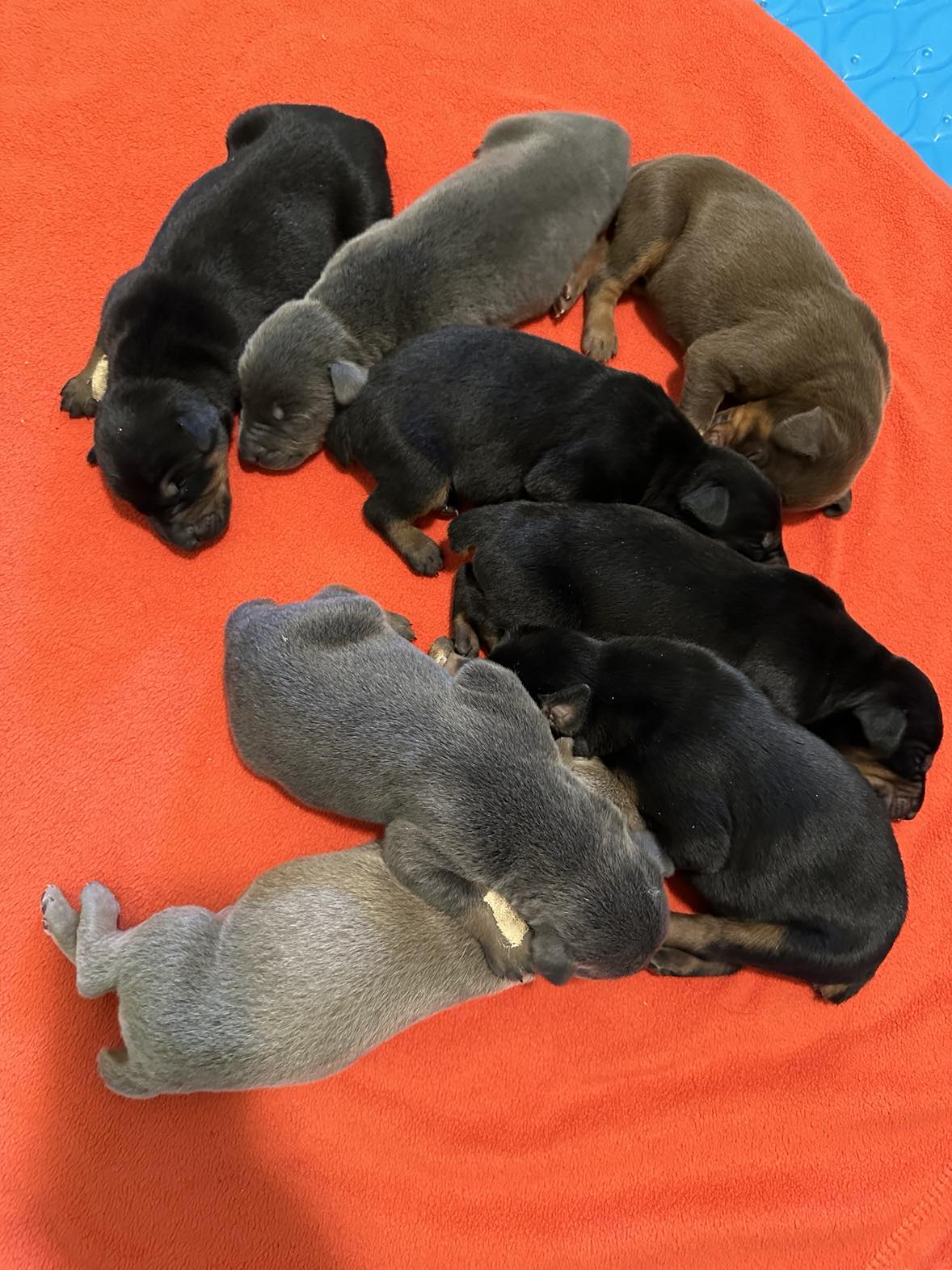 b002-patrick-february-2024-litter