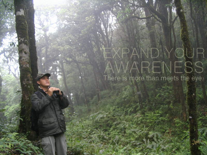 Birding at Hoan Lien Son Nature Reserve