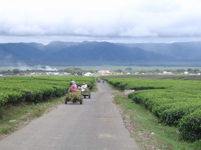 keresik tua