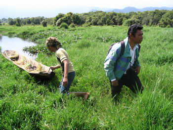 walk on floating reeds is a skill