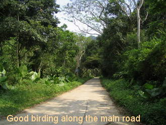 Good birding on both sides of road