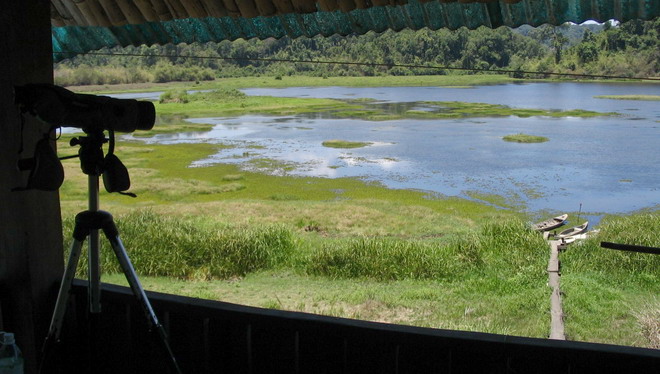 Crocodile Lake