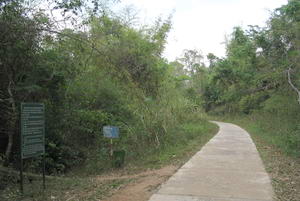 cement trail