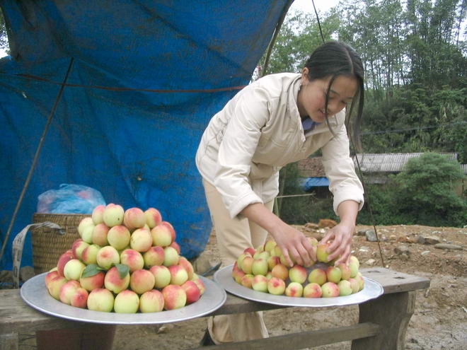 Pretty Fruitseller