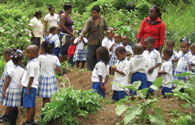 Students on farm tour