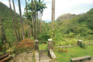 View of the valley