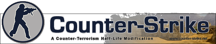 Counter Strike (First person game...best of it's kind)