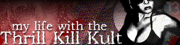 My Life With The Thrill Kill Kult