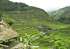 banaue