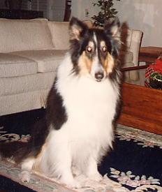 Chloe, Gayle's baby, died at the age of 8 of lung cancer.