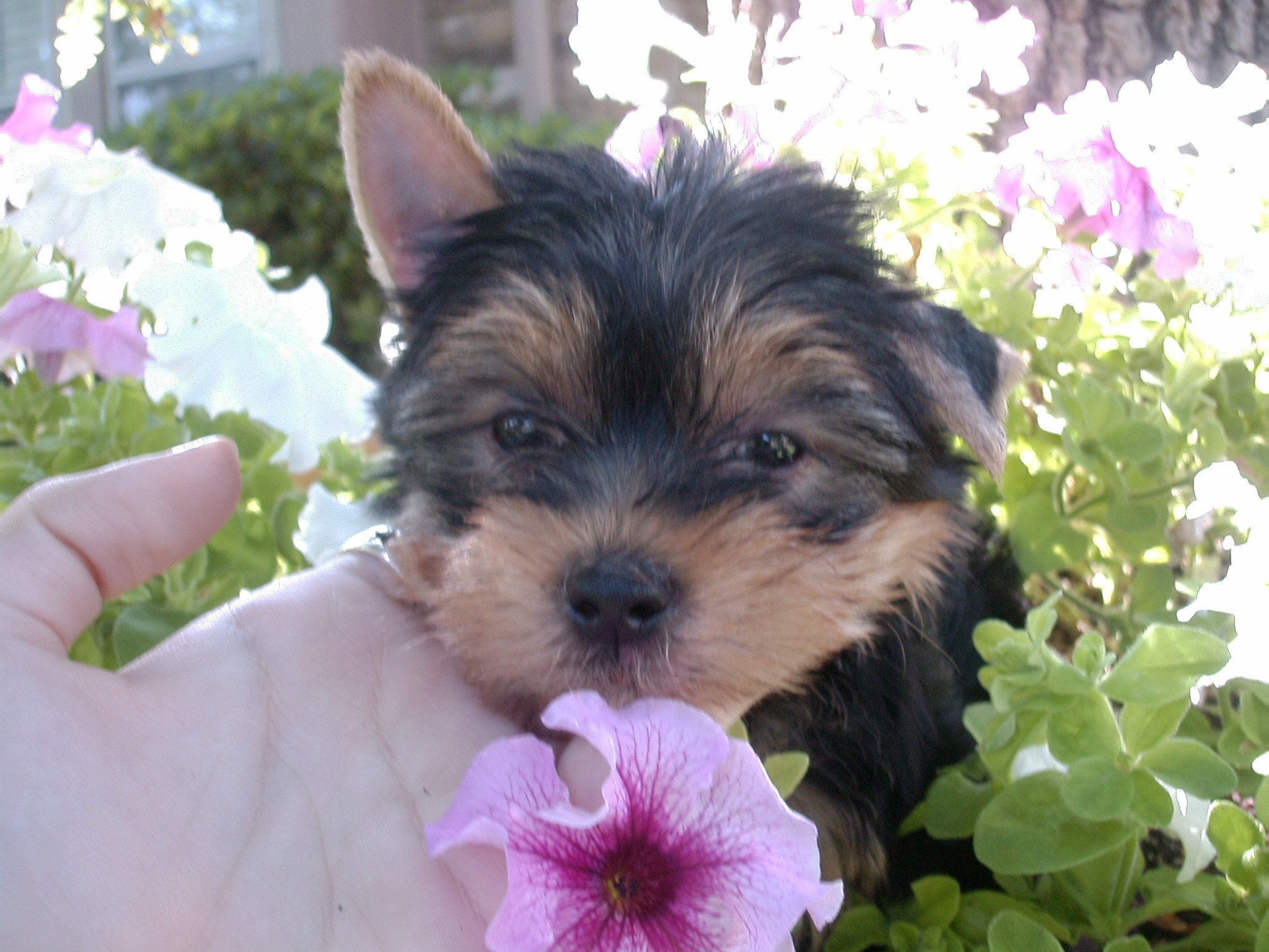 Welcome, Baby Delilah!