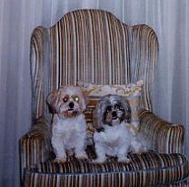 The Boys: Rusty and Sidney