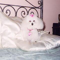 The Princess: Sophie