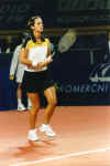 FED CUP (542036 bytes)