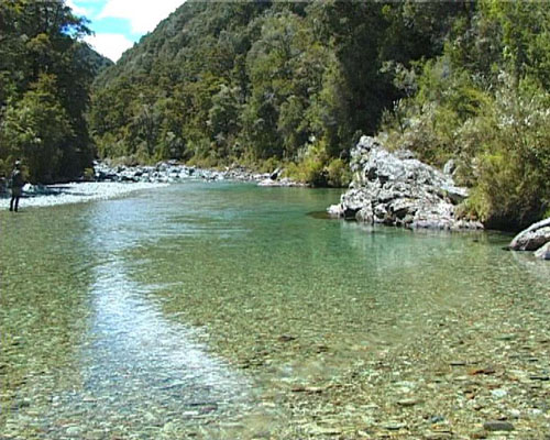 Biomes Moving Fresh Water