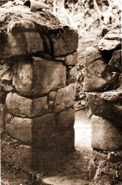 [Click to enlarge image]