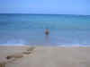 hawaii124.jpg (29198 bytes)