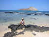 hawaii168.jpg (40782 bytes)