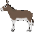LOS BURROS FELICES