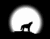 Wolf Howl