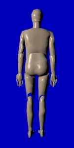 Hombre de espaldas