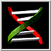 BioMedNet
