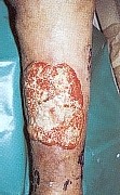 ESPINOCELULAR